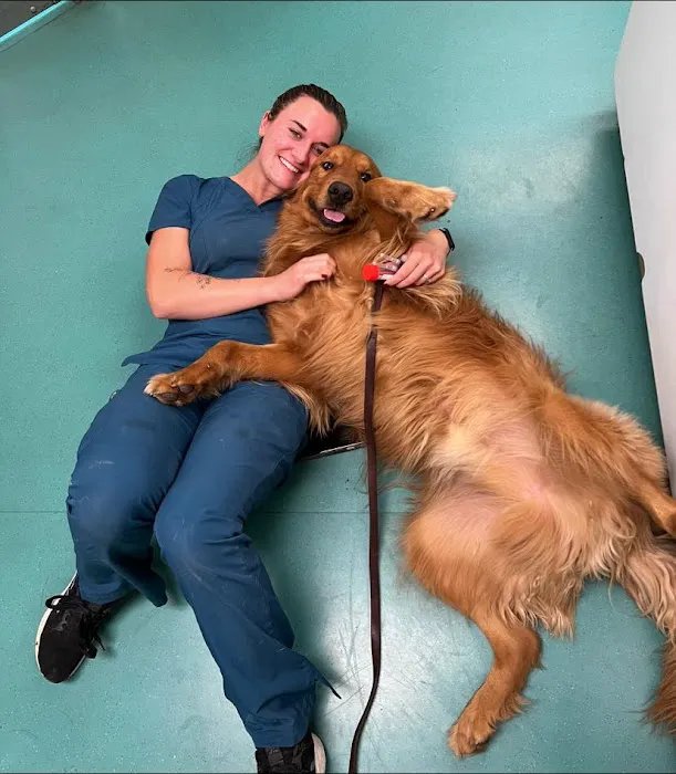 Spotsylvania Animal Hospital 4