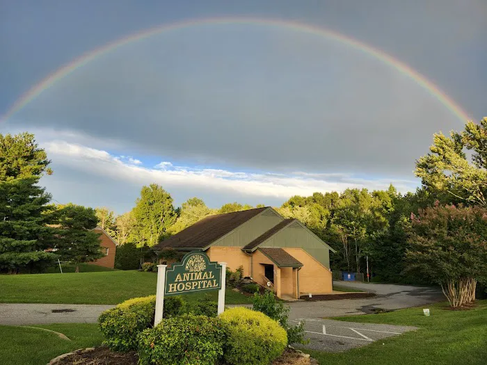 Spotsylvania Animal Hospital 9
