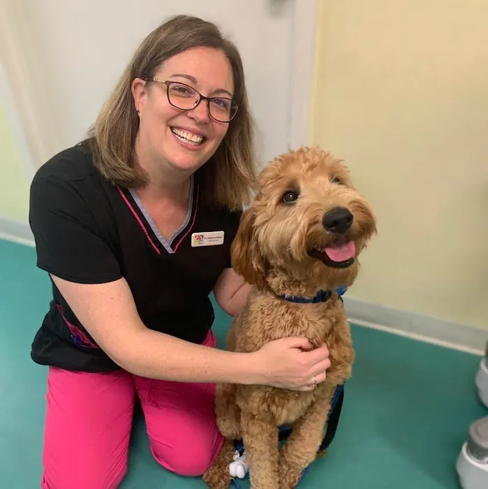 Spotsylvania Animal Hospital 5