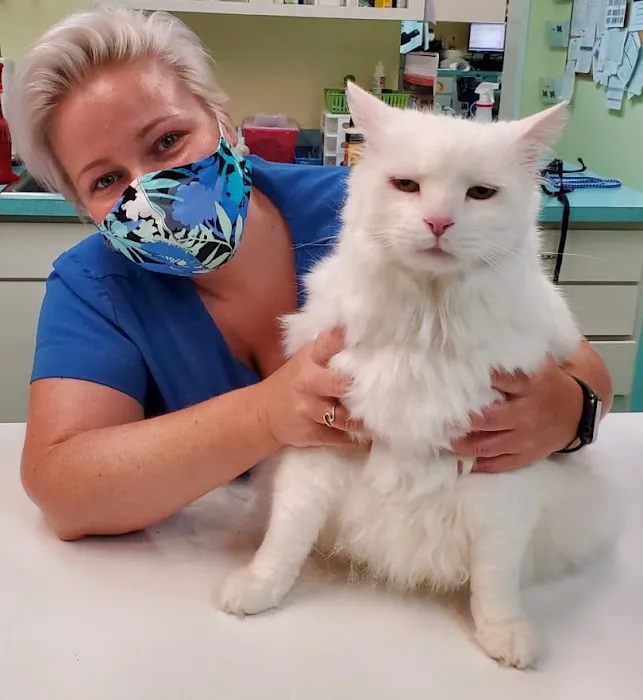 Spotsylvania Animal Hospital 7