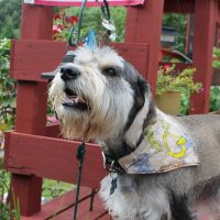 Spotsylvania Animal Hospital: Siefker Katherine J DVM ico