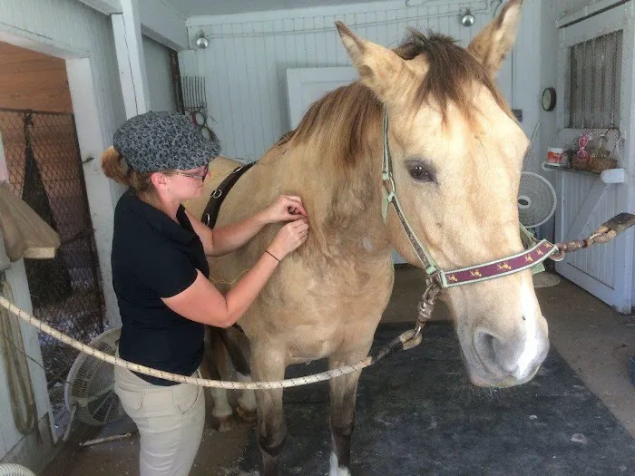 Four Seasons Equine Veterinary Service 6