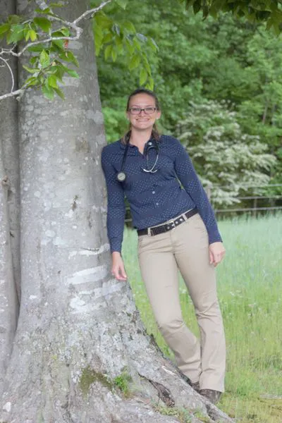 Four Seasons Equine Veterinary Service 1