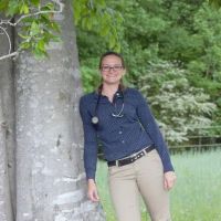 Four Seasons Equine Veterinary Service ico