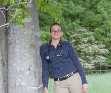 Four Seasons Equine Veterinary Service