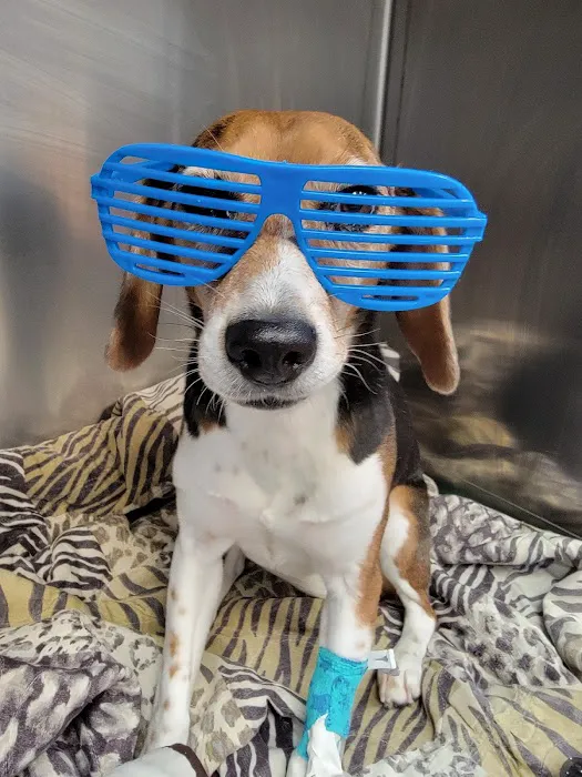 Hart Animal Clinic 1