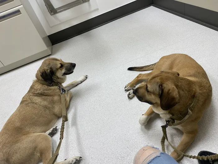 Hart Animal Clinic 5