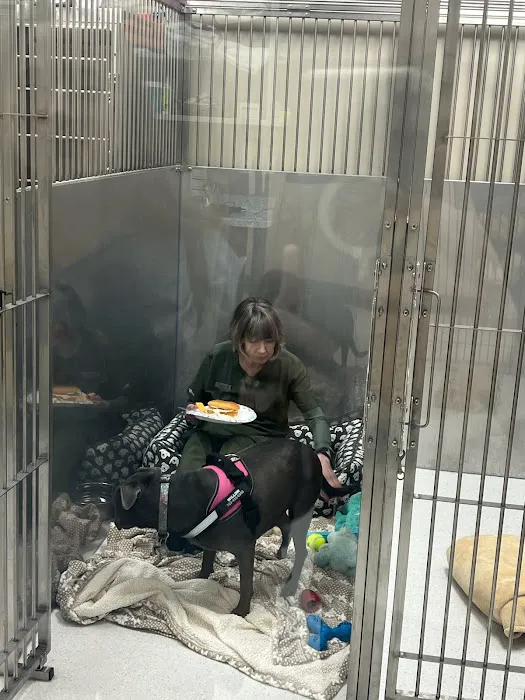 Hart Animal Clinic 9