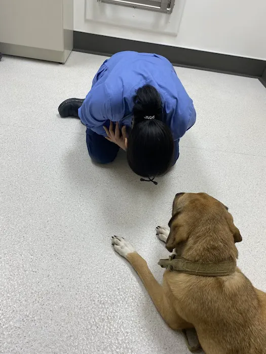 Hart Animal Clinic 8
