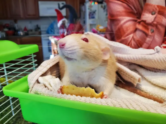 Hart Animal Clinic 3