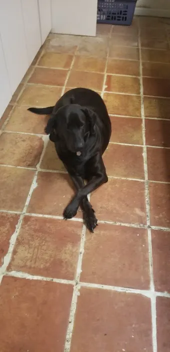 Fredericksburg Animal Hospital 8