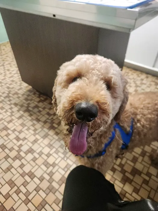 Fredericksburg Animal Hospital 4