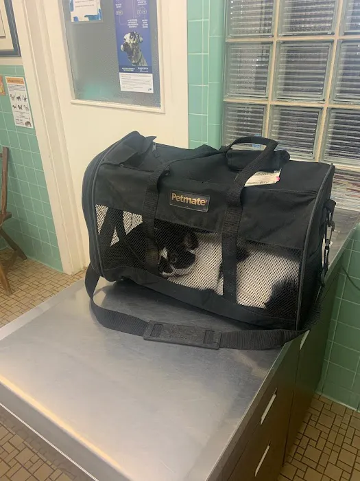 Fredericksburg Animal Hospital 10
