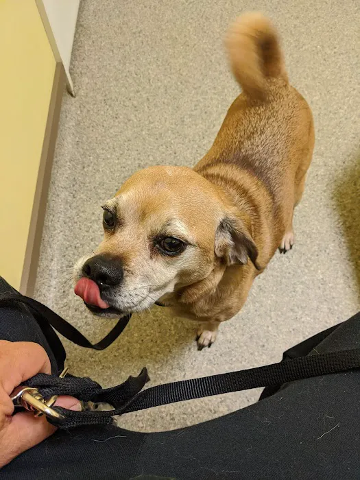 Warren County Veterinary Clinic 12
