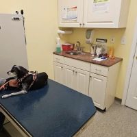 Warren County Veterinary Clinic ico