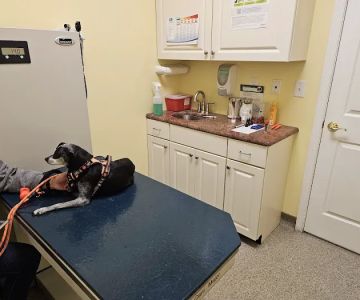 Warren County Veterinary Clinic