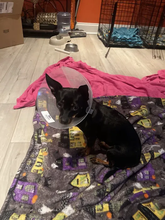 Kincheloe Low Cost Spay/Neuter 10