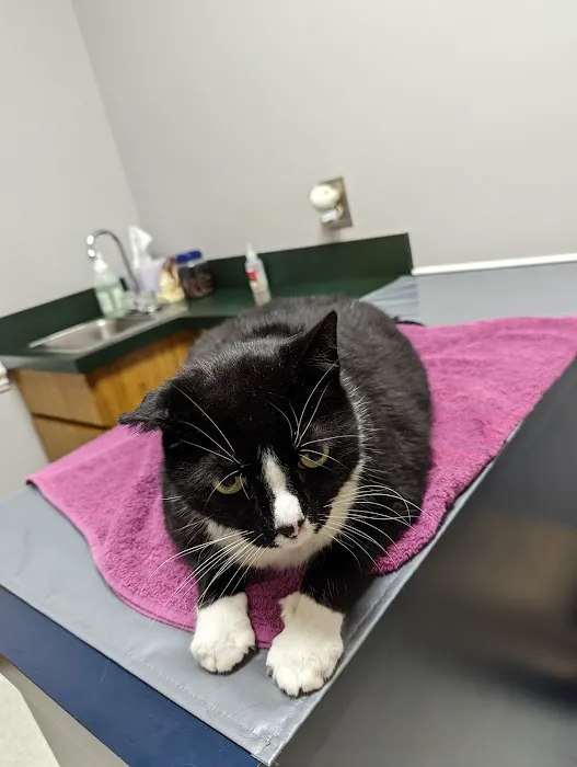 Confederate Ridge Animal Hospital 4