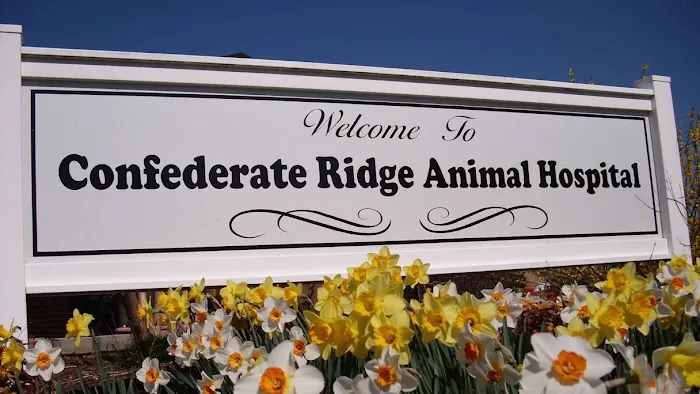 Confederate Ridge Animal Hospital 7