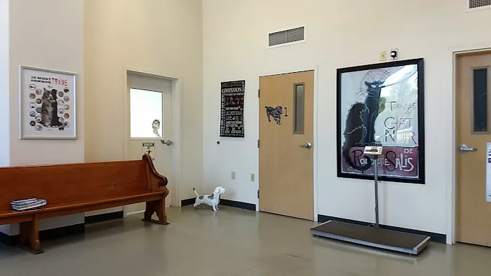St. Francis Animal Hospital 5