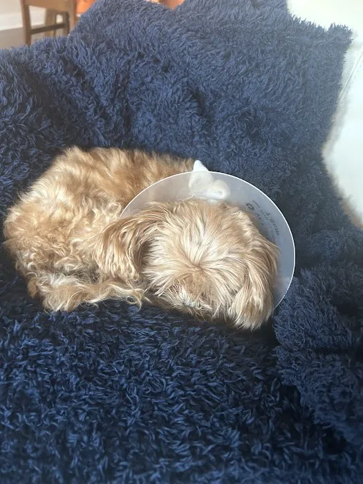 Compassion Veterinary Center 5