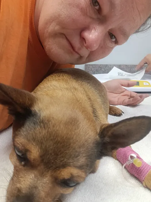 Compassion Veterinary Center 6