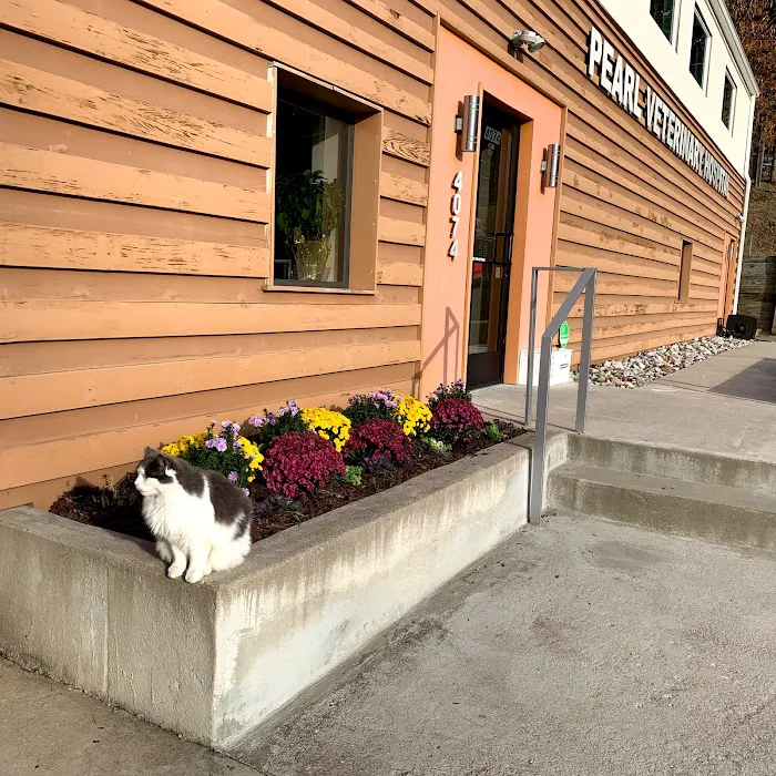 Pearl Veterinary Hospital 10