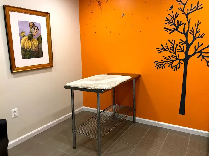 Pearl Veterinary Hospital 5