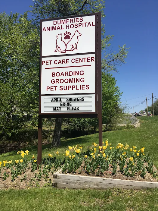 Dumfries Animal Hospital 10