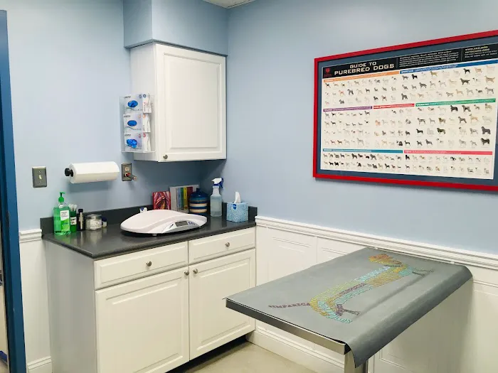 Dumfries Animal Hospital 1