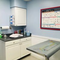 Dumfries Animal Hospital ico