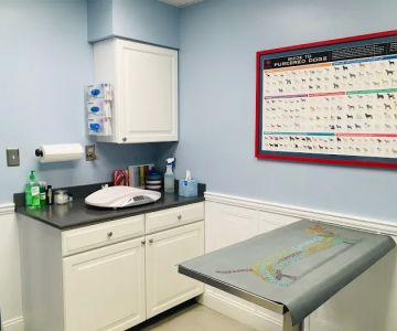Dumfries Animal Hospital