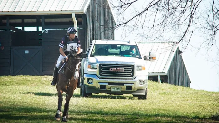 Total Equine Veterinary Associates, PC 3