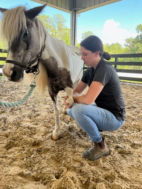 Total Equine Veterinary Associates, PC 1