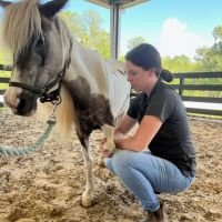 Total Equine Veterinary Associates, PC ico