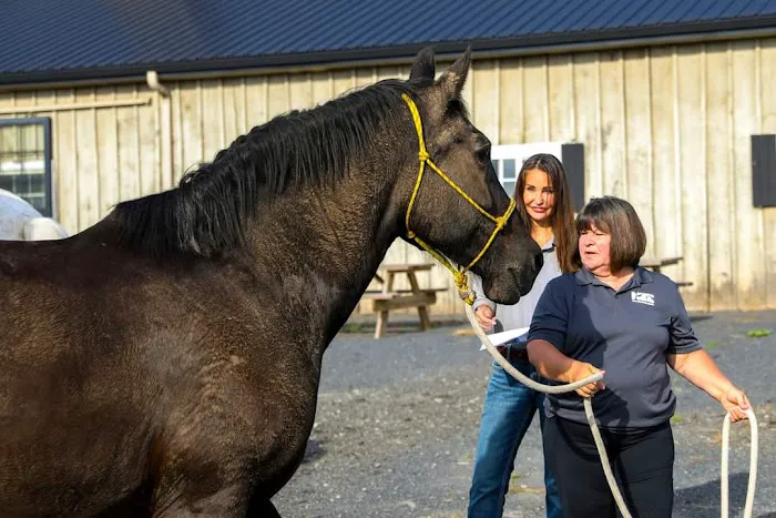Total Equine Veterinary Associates, PC 2