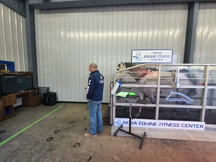 Total Equine Veterinary Associates, PC 7