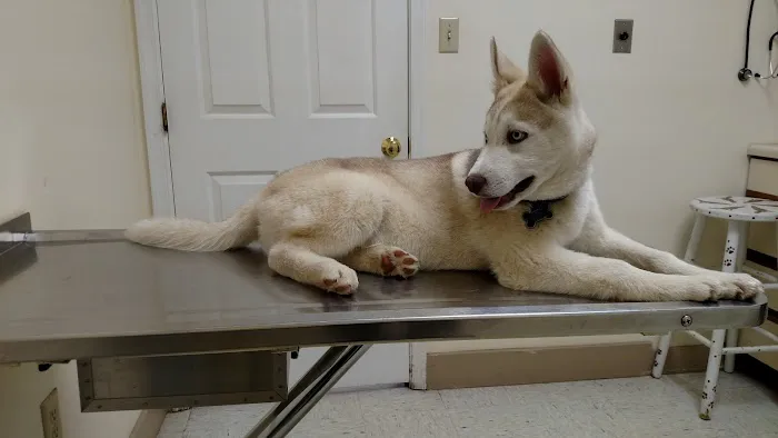 Hillside Veterinary Hospital 12