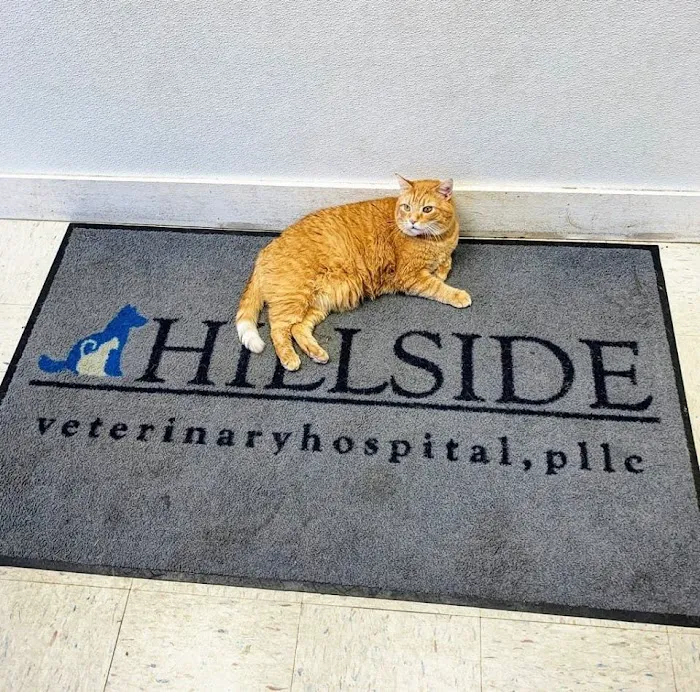 Hillside Veterinary Hospital 12