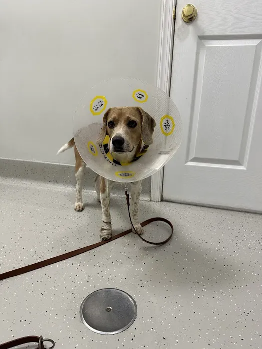 Hillside Veterinary Hospital 12