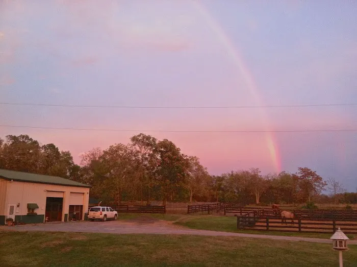 Clarke Equine Wellness and Performance 12