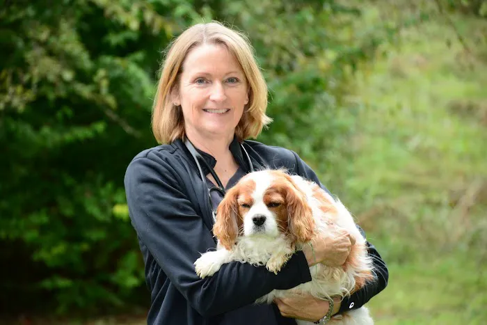 Roseville Veterinary Clinic 12