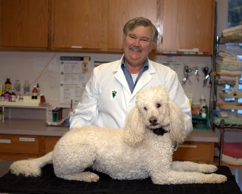 Roseville Veterinary Clinic 12