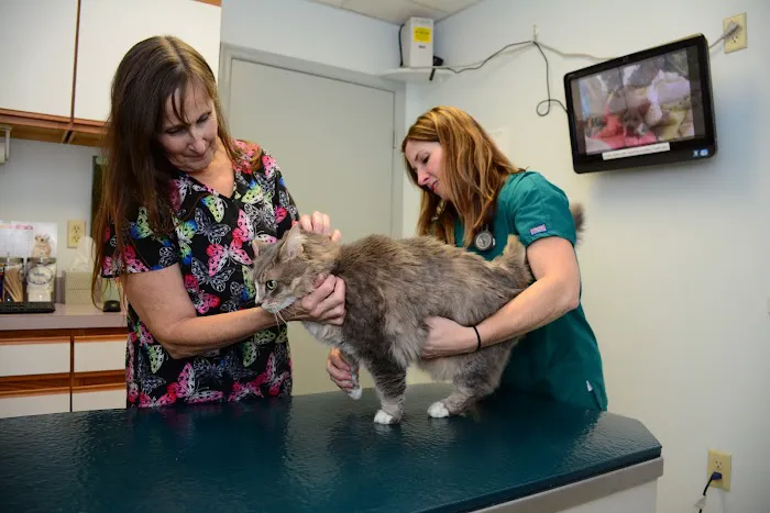 Roseville Veterinary Clinic 12