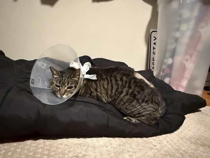 Valley Veterinary Emergency & Referral Center 12
