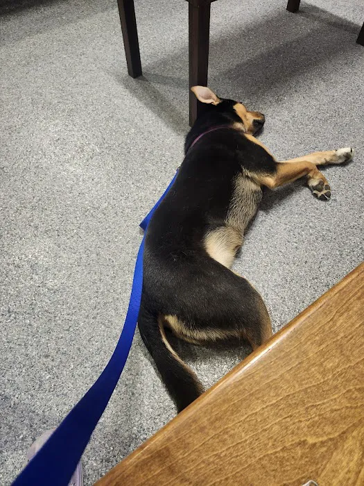 Valley Veterinary Emergency & Referral Center 12