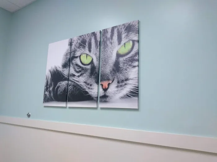 Valley Veterinary Emergency & Referral Center 12