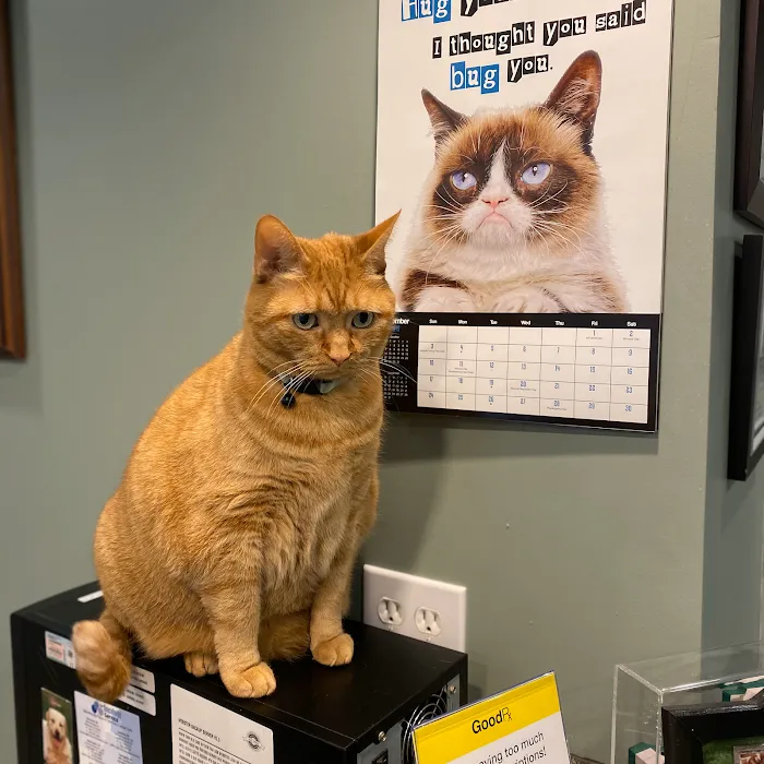 Ranson Animal Hospital 12