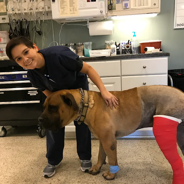 Ranson Animal Hospital 12