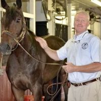 Valley Equine Associates PLLC ico
